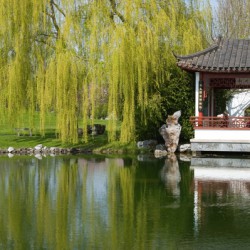 Qigong: Energiearbeit für Gesundheit und innere Ruhe © Sergey Komarov / Fotolia