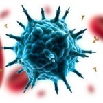 Autoimmunkrankheiten / Virus mit Antikörpern (© psdesign1 - Fotolia.com)