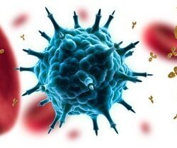 Autoimmunkrankheiten: Wenn der Körper sich selbst angreift Autoimmunkrankheiten / Virus mit Antikörpern (© psdesign1 - Fotolia.com)