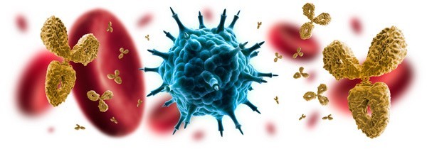Autoimmunkrankheiten / Virus mit Antikörpern (© psdesign1 - Fotolia.com)