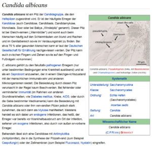 Wikipedia zu Candida Albicans: 75% der Menschen tragen diesen Hefepilz im Körper - nur in bestimmten Fällen entstehen problematische Symptome (https://de.wikipedia.org/wiki/Candida_albicans)