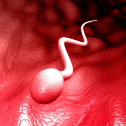 Ejakulation und Ejakulat: Was ist das? Ejakulation / Sperma / Samen (© popyconcept - Fotolia.com)