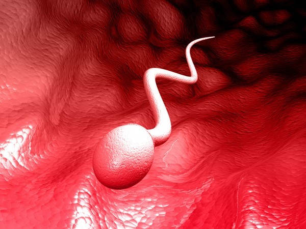 Ejakulation / Sperma / Samen (© popyconcept - Fotolia.com)