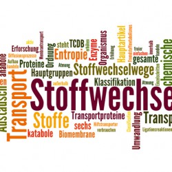 Fettstoffwechsel: Über Verdauung, Hormone, Lipoproteine und mehr Stoffwechsel in unserem Körper (© fotodo - Fotolia.com)
