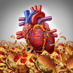 Fettstoffwechselstörung | Symptome, Ursachen, Folgen Fettstoffwechselstörung, Cholesterin und unsere Blutwerte (© freshidea - Fotolia.com)