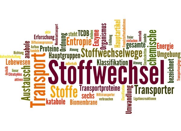 Stoffwechsel in unserem Körper (© fotodo - Fotolia.com)