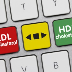 Gutes Cholesterin vs. schlechtes Cholesterin – HDL und LDL Gutes Cholesterin vs. schlechtes Cholesterin ? HDL und LDL (© momius - Fotolia.com)