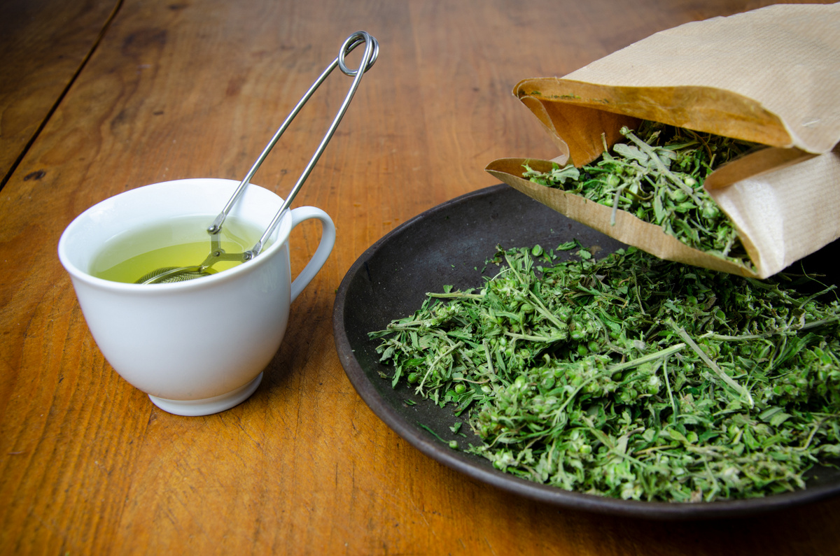 CBD Tee Anwendungsgebiete, Wirkungsversprechen, Kritik