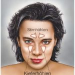 Stirn- und Kieferhöhlen | Eine Kieferhöhlenentzündung ist kein Spaziergang, lässt sich aber u.a. durch Medikamente behandeln (© Henrie / Fotolia)