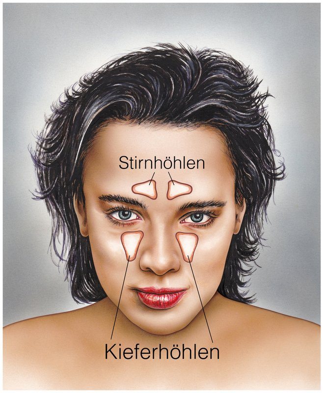 Stirn- und Kieferhöhlen | Eine Kieferhöhlenentzündung ist kein Spaziergang, lässt sich aber u.a. durch Medikamente behandeln (© Henrie / Fotolia)