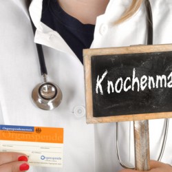 Knochenmarkstransplantation | Eine Einführung für Betroffene Knochenmarkstransplantation (© Gerhard Seybert - Fotolia.com)