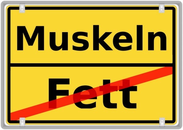 Muskeln aufbauen, Fett abbauen (© mischu11 / Fotolia)