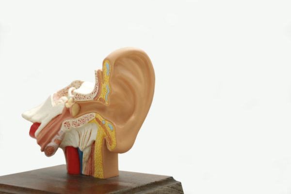 Klopfen im Ohr links / rechts ‡ Tinnitus, Entzündung, Hörsturz?