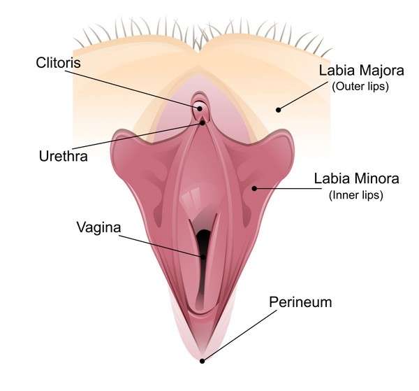 Scheidewand knubbel Vaginalkarzinom, Scheidenkarzinom,