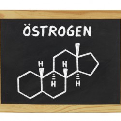 Schwangerschaftshormone: Östrogen, Gestagen, HCG Chemische Strukturformel von Östrogen (© Zerbor - Fotolia.com)