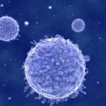 Lymphozyten / T-Helferzellen (© Juan Gärtner - Fotolia.com)