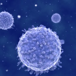 T-Helferzellen des Immunsystems: Funktion / Aufgabe Lymphozyten / T-Helferzellen (© Juan Gärtner - Fotolia.com)