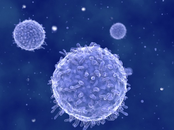 Lymphozyten / T-Helferzellen (© Juan Gärtner - Fotolia.com)