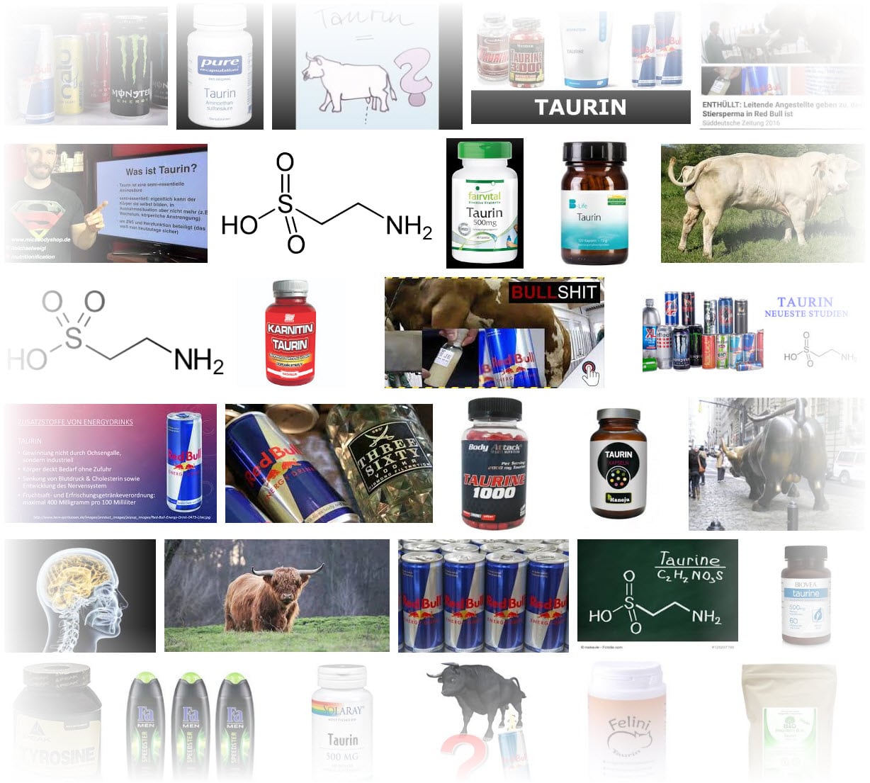 Was ist Taurin und wie erfolgt die Herstellung? - Eine Recherche in der Google Bildersuche zeigt verschiedene Darreichungsformen von Energy Drinks bis Kapseln, und referenziert immer wieder den Mythos, der Wirkstoff sei aus Stierhoden gewonnen (images.google.de)